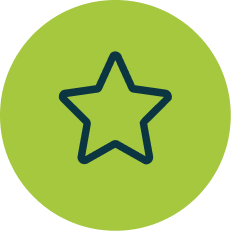 Icone Estrela